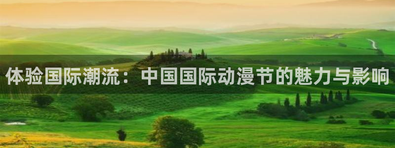 男男动漫里番：体验国际潮流：中国国际动漫节的魅力与影响