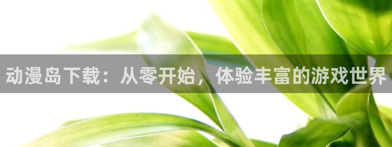里番acg动漫：动漫岛下载：从零开始，体验丰富的游戏世界