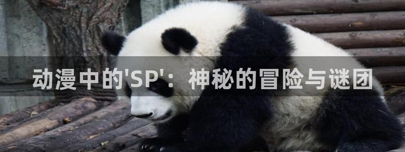 ntr里番动漫：动漫中的\'SP\'：神秘的冒险与谜团