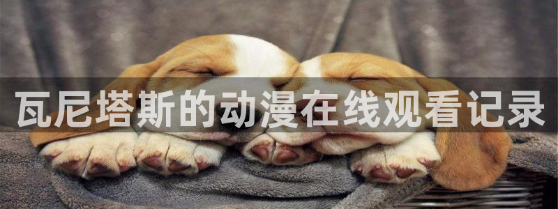 里番动漫大全：瓦尼塔斯的动漫在线观看记录