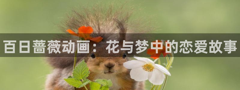 里番动漫库：百日蔷薇动画：花与梦中的恋爱故事