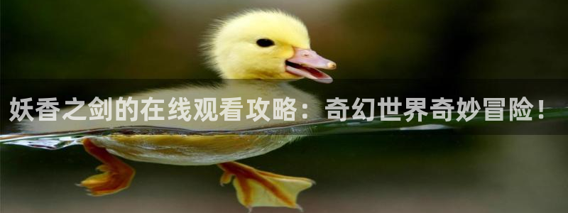 里番漫画在线观看免费：妖香之剑的在线观看攻略：奇幻世界奇妙冒险！
