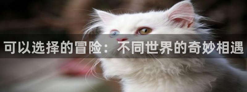 里番彩色漫画：可以选择的冒险：不同世界的奇妙相遇
