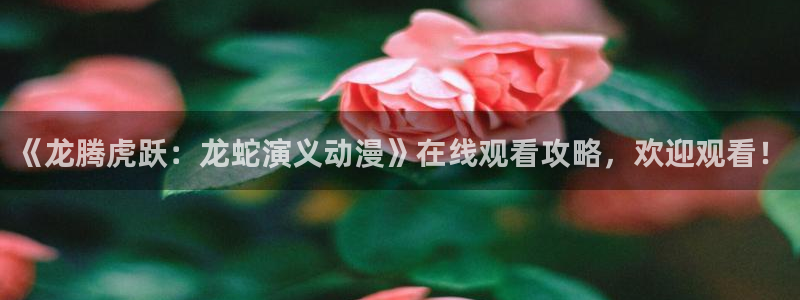 里番少女漫画：《龙腾虎跃：龙蛇演义动漫》在线观看攻略，欢迎观看！